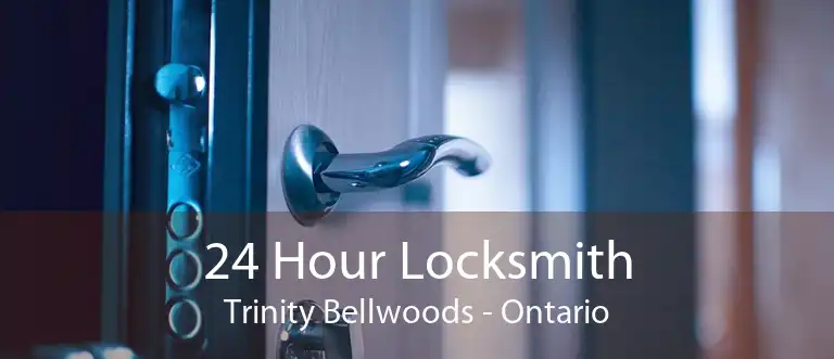 24 Hour Locksmith Trinity Bellwoods - Ontario