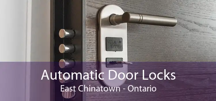 Automatic Door Locks East Chinatown - Ontario