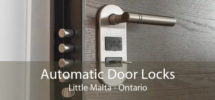 Automatic Door Locks Little Malta - Ontario