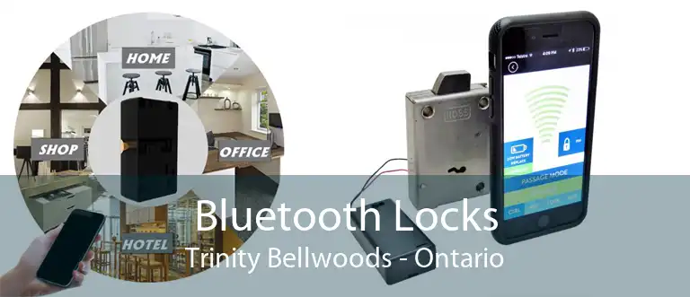 Bluetooth Locks Trinity Bellwoods - Ontario