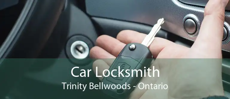 Car Locksmith Trinity Bellwoods - Ontario