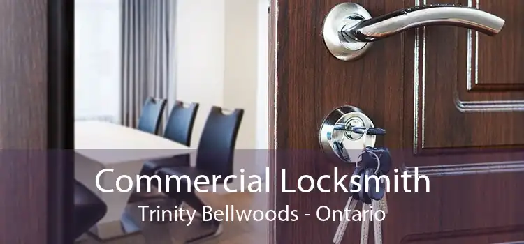 Commercial Locksmith Trinity Bellwoods - Ontario