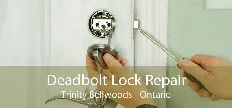 Deadbolt Lock Repair Trinity Bellwoods - Ontario