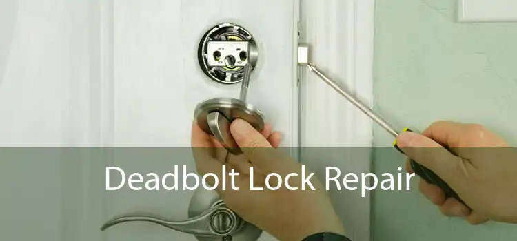 Deadbolt Lock Repair