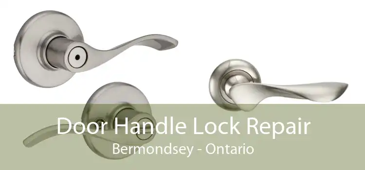 Door Handle Lock Repair Bermondsey - Ontario
