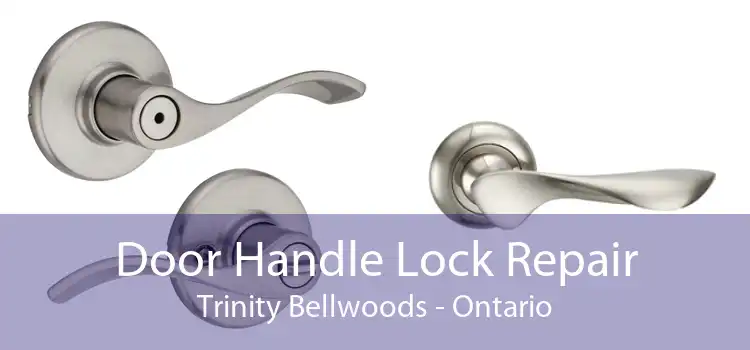 Door Handle Lock Repair Trinity Bellwoods - Ontario