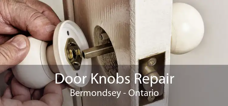 Door Knobs Repair Bermondsey - Ontario