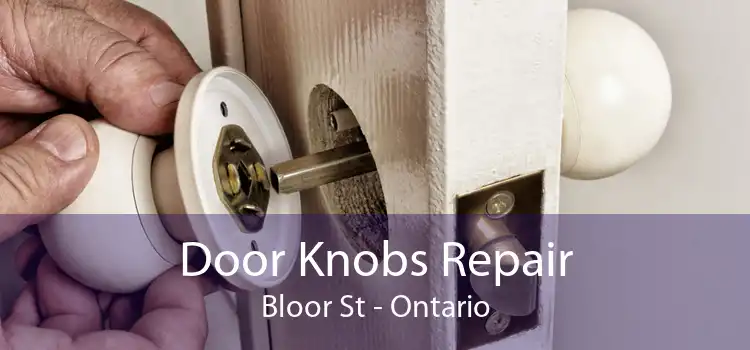 Door Knobs Repair Bloor St - Ontario