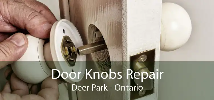Door Knobs Repair Deer Park - Ontario