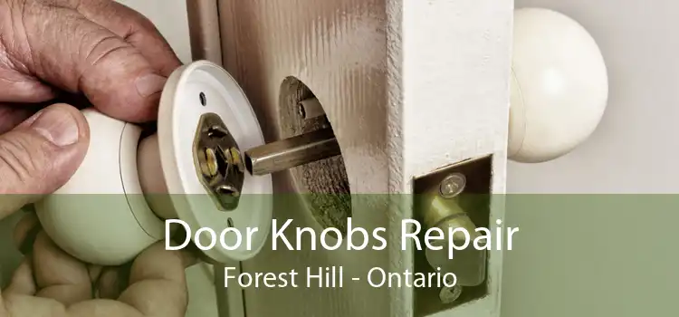 Door Knobs Repair Forest Hill - Ontario