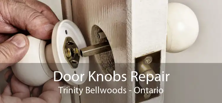 Door Knobs Repair Trinity Bellwoods - Ontario