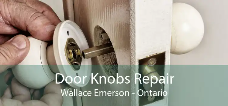 Door Knobs Repair Wallace Emerson - Ontario