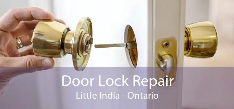 Door Lock Repair Little India - Ontario