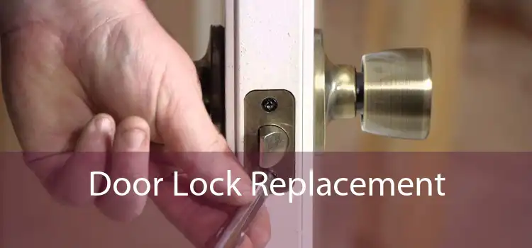 Door Lock Replacement