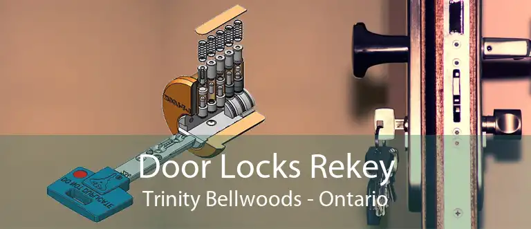 Door Locks Rekey Trinity Bellwoods - Ontario