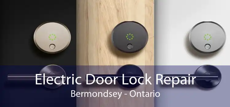 Electric Door Lock Repair Bermondsey - Ontario