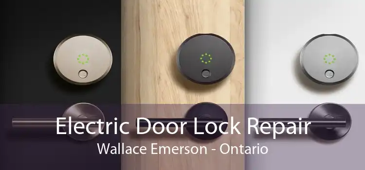 Electric Door Lock Repair Wallace Emerson - Ontario