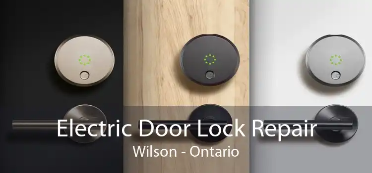 Electric Door Lock Repair Wilson - Ontario