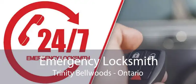 Emergency Locksmith Trinity Bellwoods - Ontario