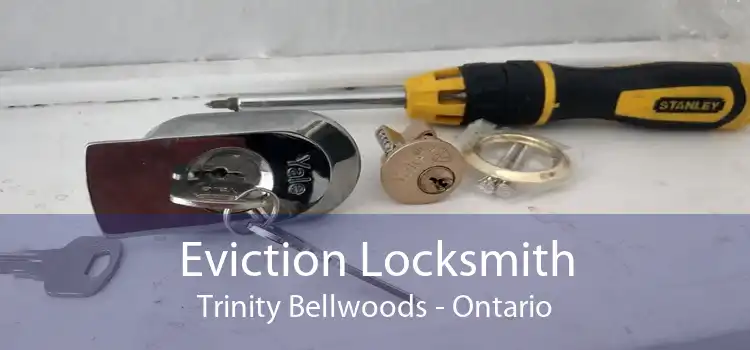 Eviction Locksmith Trinity Bellwoods - Ontario