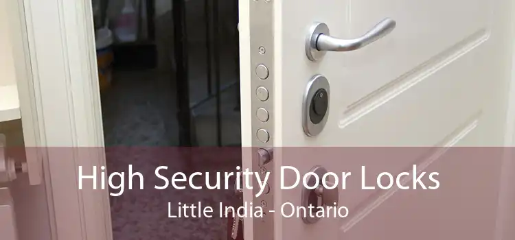 High Security Door Locks Little India - Ontario