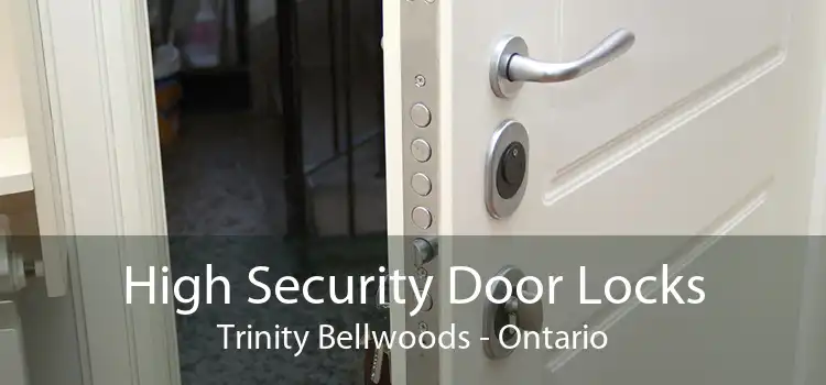High Security Door Locks Trinity Bellwoods - Ontario