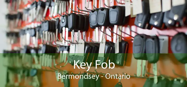 Key Fob Bermondsey - Ontario
