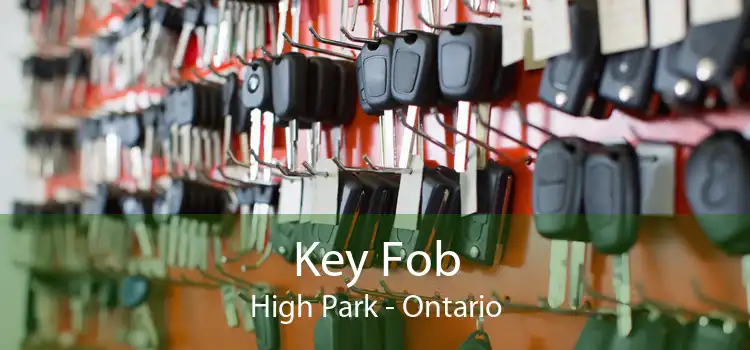 Key Fob High Park - Ontario
