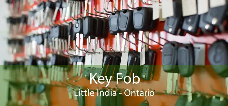 Key Fob Little India - Ontario