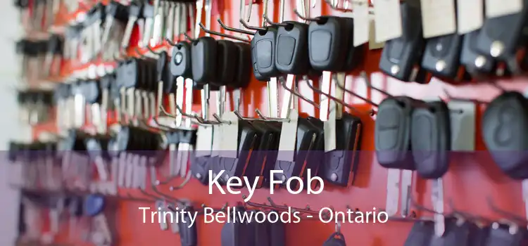 Key Fob Trinity Bellwoods - Ontario