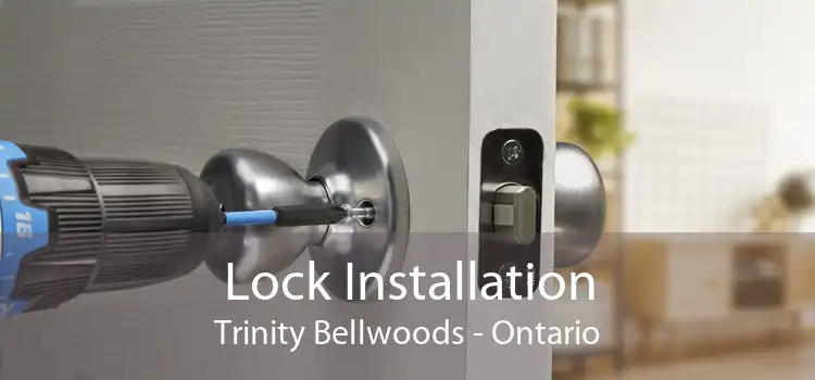 Lock Installation Trinity Bellwoods - Ontario