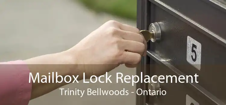 Mailbox Lock Replacement Trinity Bellwoods - Ontario