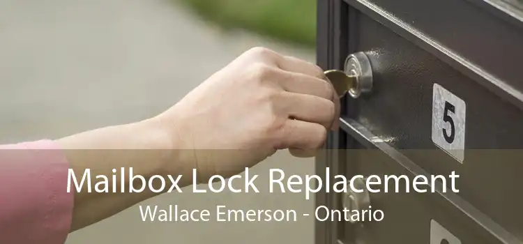 Mailbox Lock Replacement Wallace Emerson - Ontario