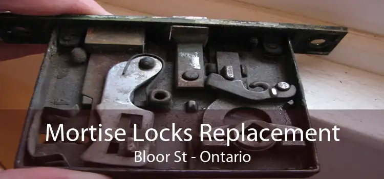 Mortise Locks Replacement Bloor St - Ontario
