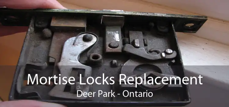 Mortise Locks Replacement Deer Park - Ontario