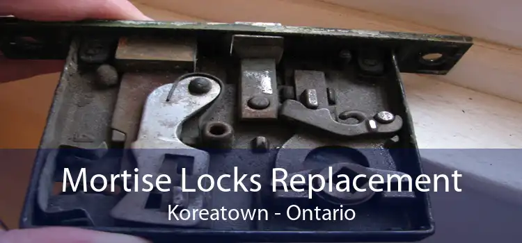 Mortise Locks Replacement Koreatown - Ontario