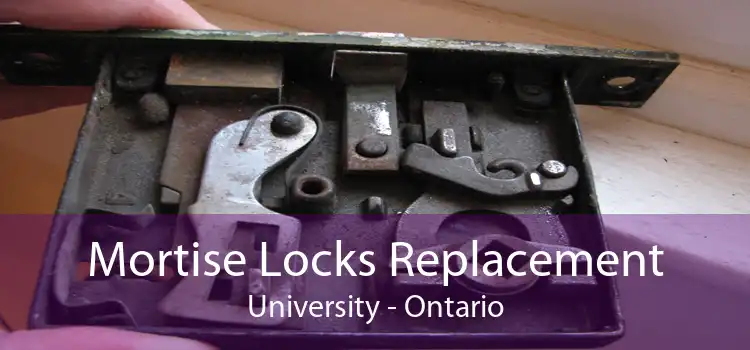 Mortise Locks Replacement University - Ontario
