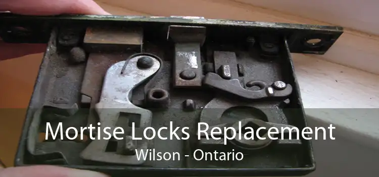 Mortise Locks Replacement Wilson - Ontario