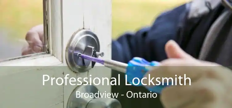 Professional Locksmith Broadview - Ontario