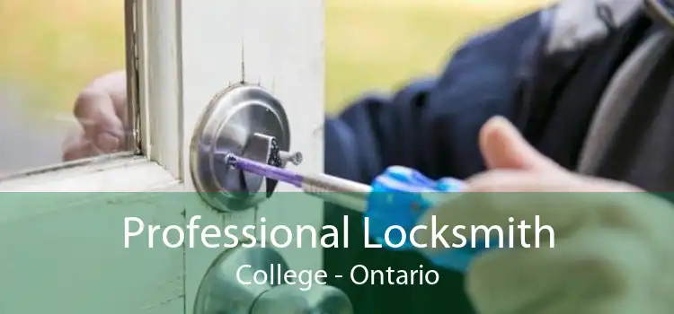 Professional Locksmith College - Ontario