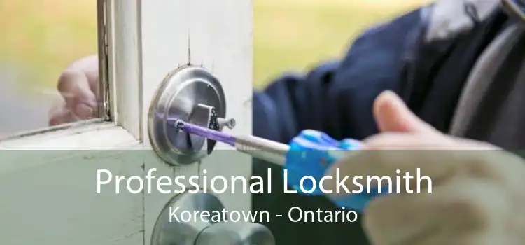 Professional Locksmith Koreatown - Ontario