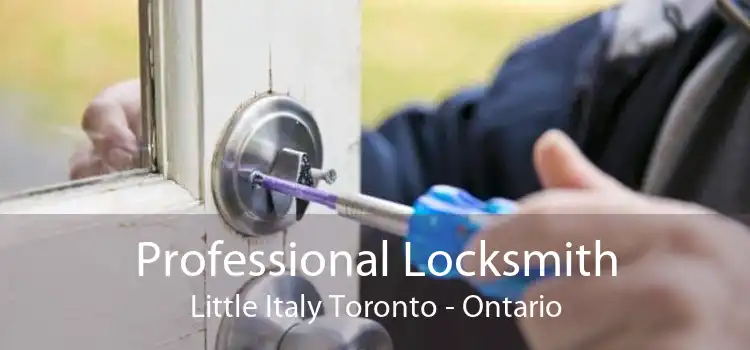 Professional Locksmith Little Italy Toronto - Ontario