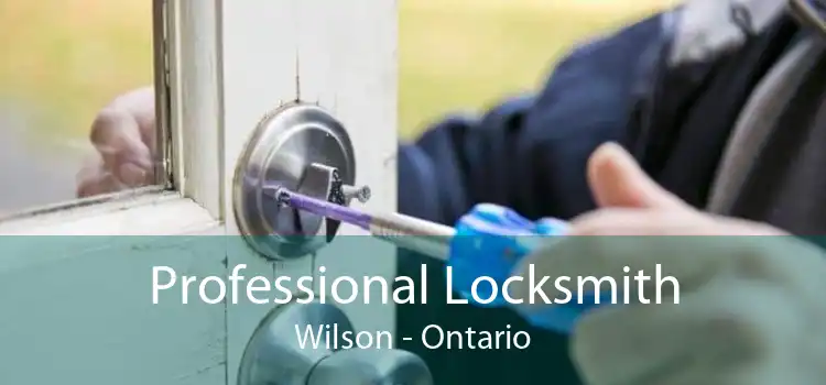 Professional Locksmith Wilson - Ontario