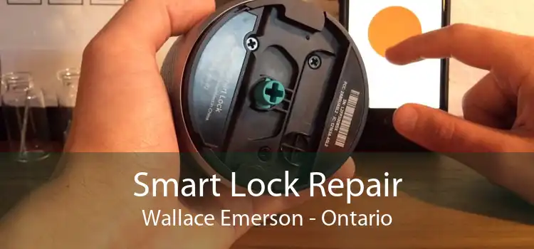 Smart Lock Repair Wallace Emerson - Ontario