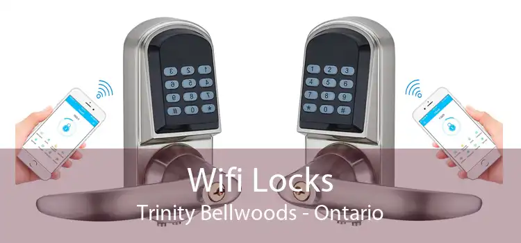 Wifi Locks Trinity Bellwoods - Ontario